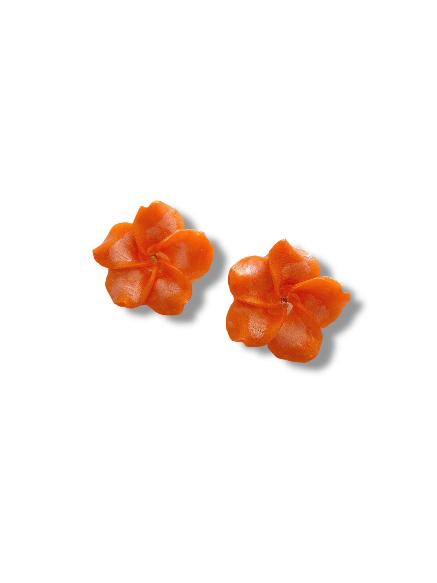 Ibisco flowers