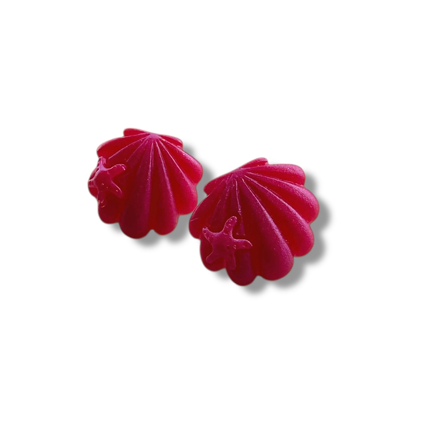 Conchiglie