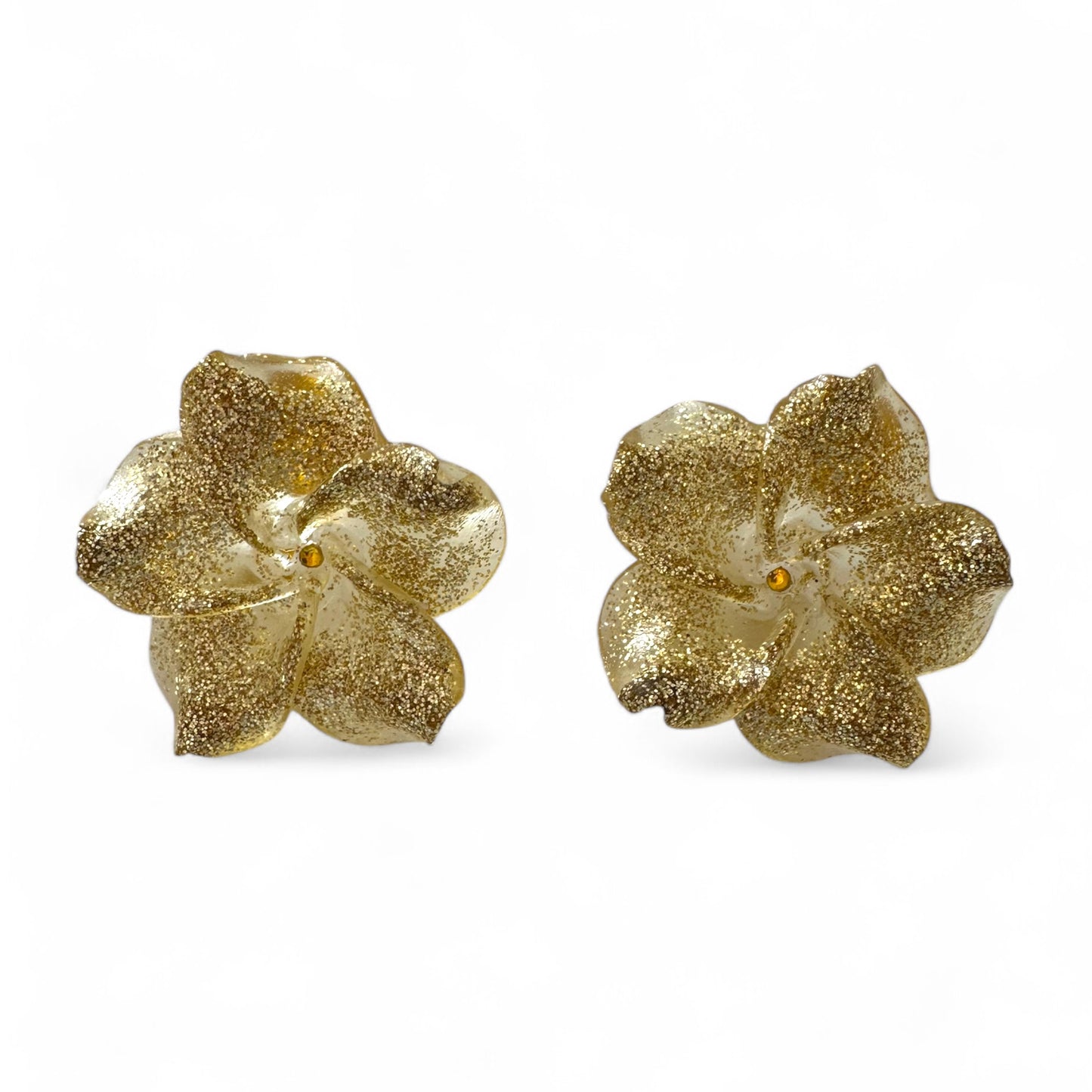 Ibisco flowers