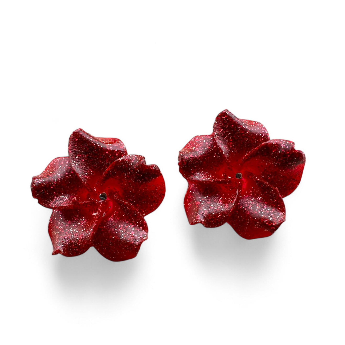 Ibisco flowers