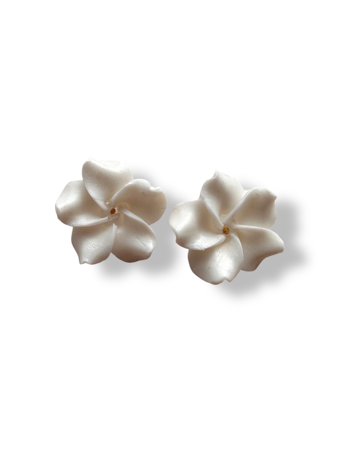 Ibisco flowers