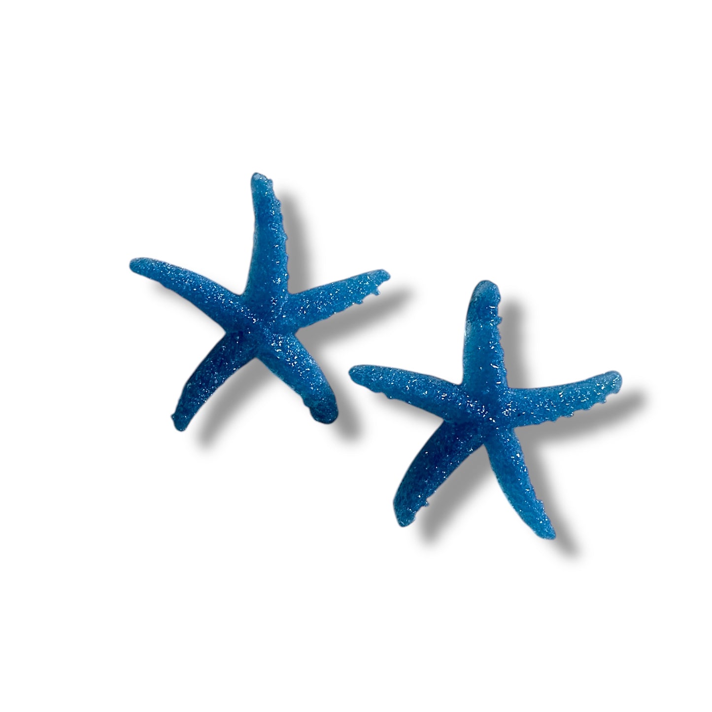 Stelle marine