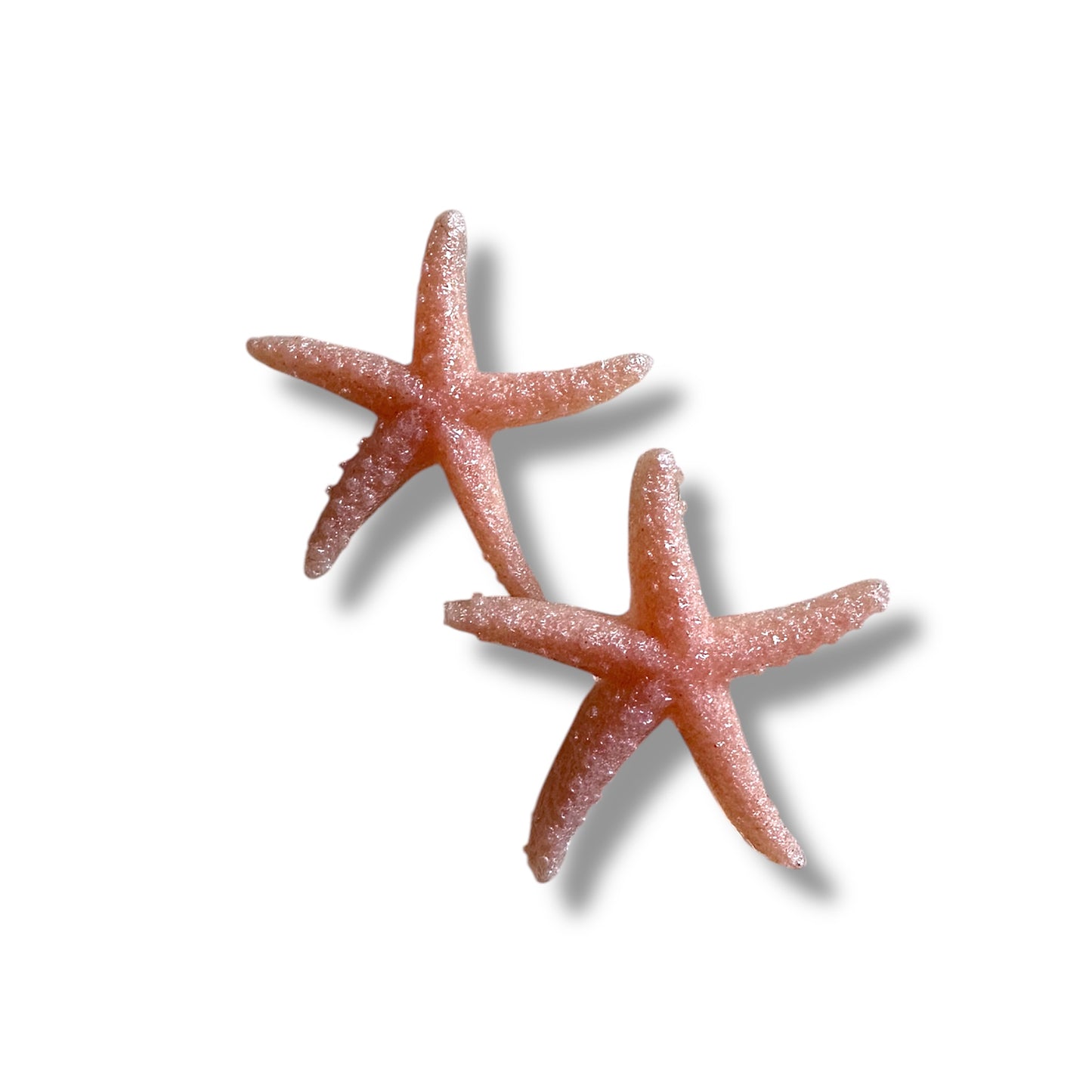 Stelle marine