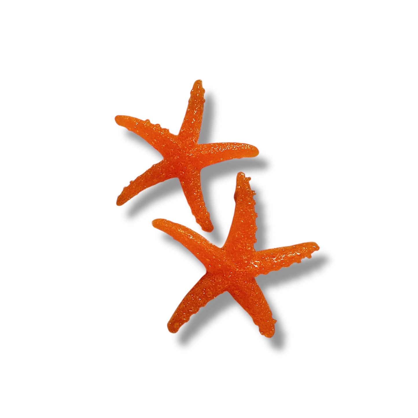 Stelle marine