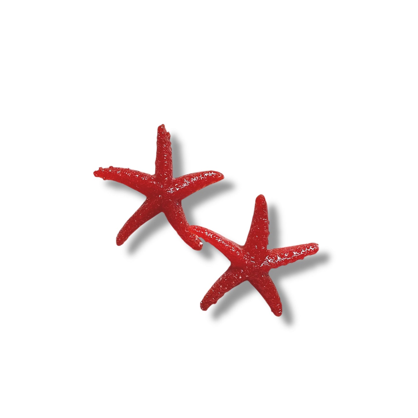 Stelle marine